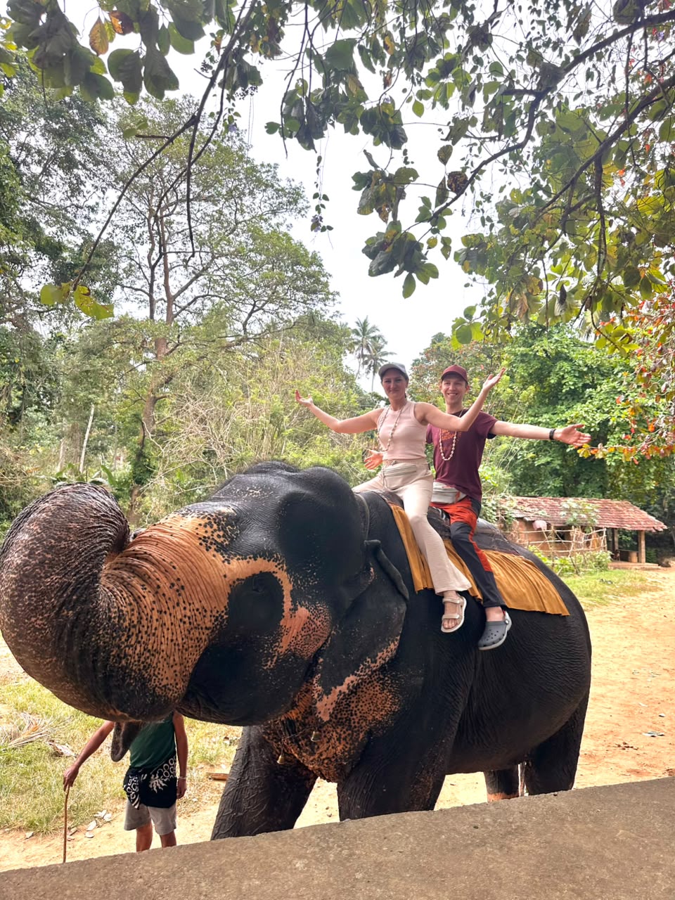 Colombo City Tour